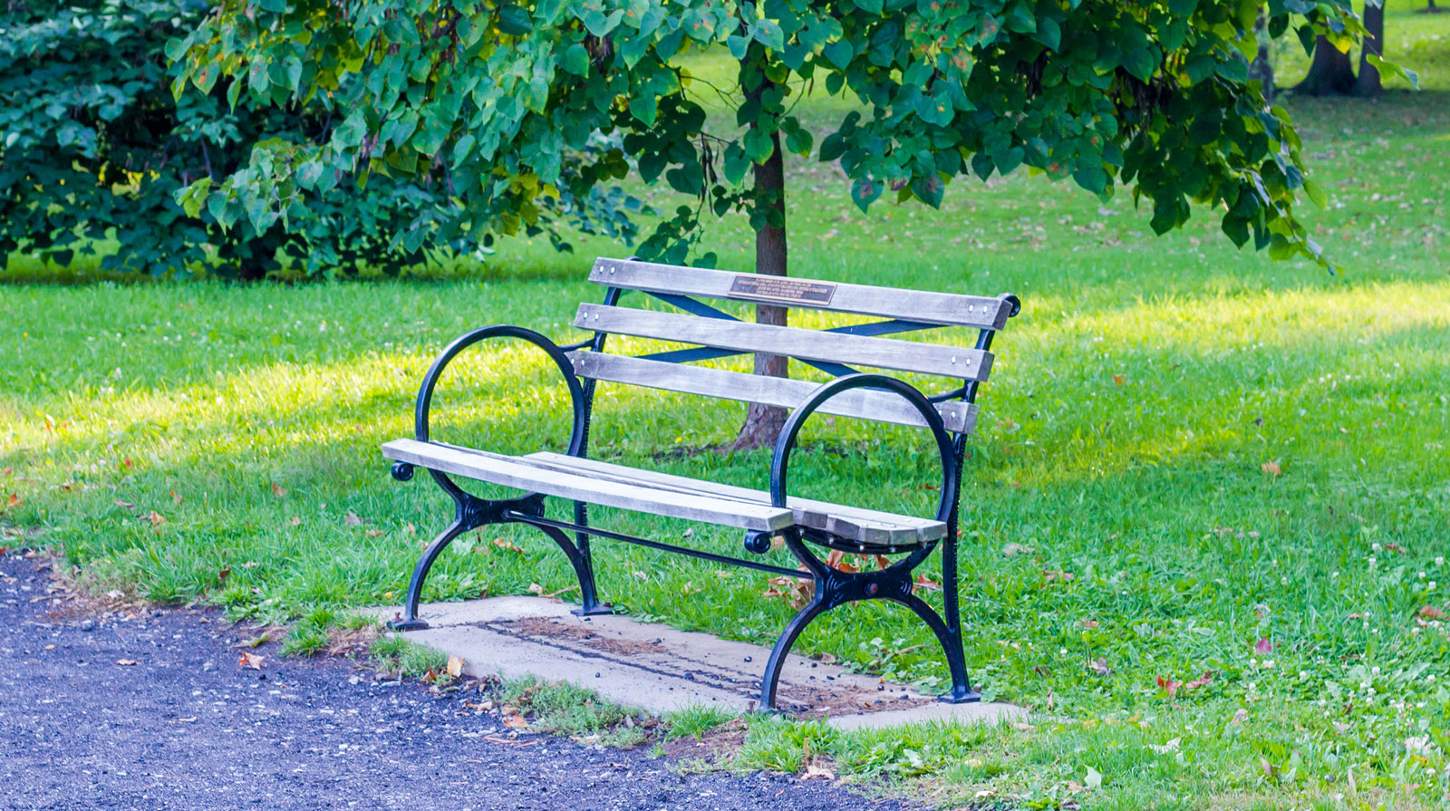  A Park Bench